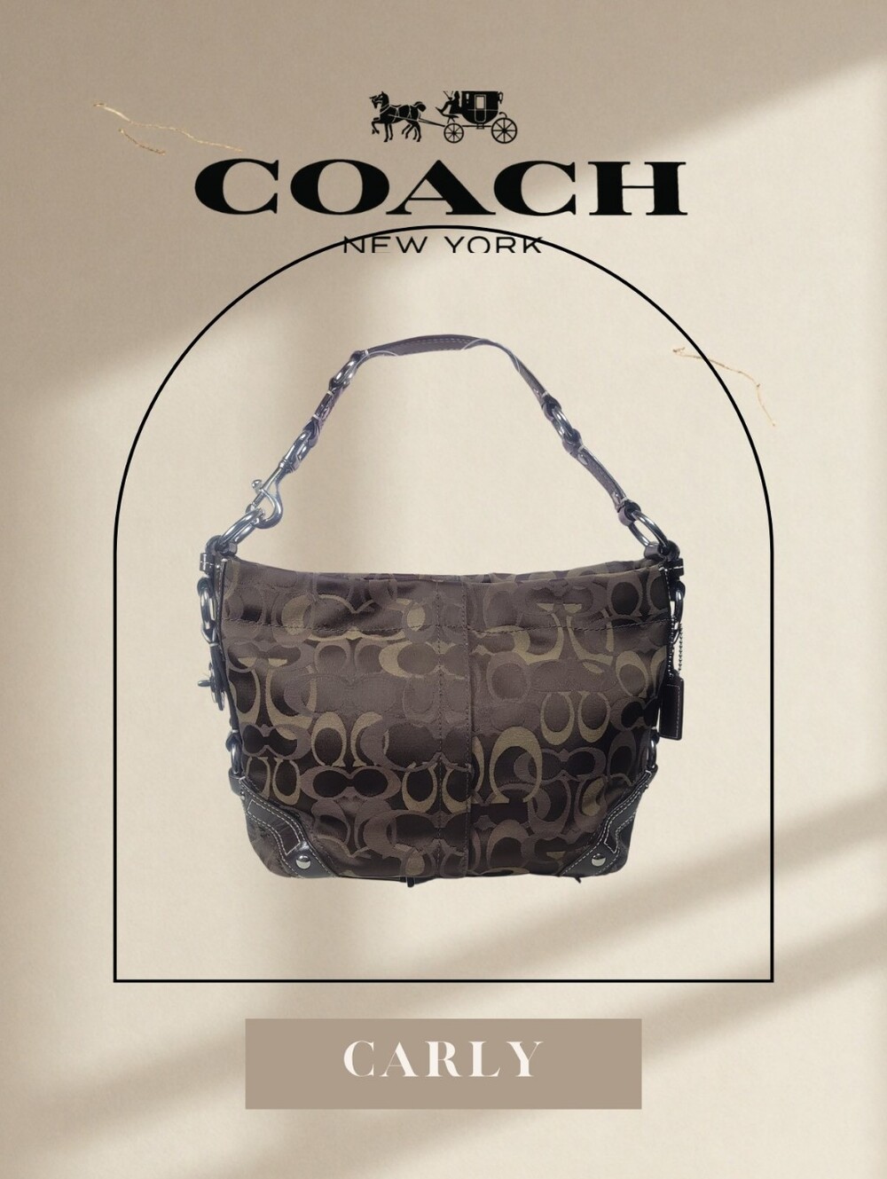 Coach Carly Shoulder Bag F13980